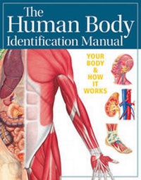 Enlarge image Cover: Human Body Identification Manual (Academic Edition) - QUAD Publishing