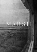 Cover: Marsh - Saltwater Books