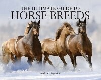 Enlarge image Cover: Ultimate Guide to Horse Breeds: Volume 3 - Chartwell Books