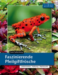 Abbildung von: Faszinierende Pfeilgiftfrösche - Natur und Tier