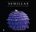 Cover: Semillas : la vida en c&aacute;psulas de tiempo - Turner Publicaciones S.L.