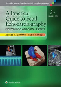 Enlarge image Cover: A Practical Guide to Fetal Echocardiography - Lippincott Williams and Wilkins