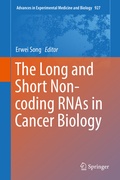 Cover: The Long and Short Non-coding RNAs in Cancer Biology - Springer