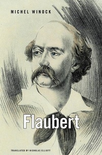 Enlarge image Cover: Flaubert - The Belknap Press