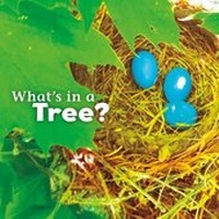 Enlarge image Cover: What's in a Tree? - Raintree