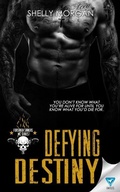 Cover: Defying Destiny - Limitless Publishing, LLC