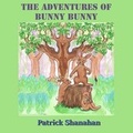 Cover: The Adventures of Bunny Bunny - Crimson Cloak Publishing