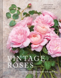 Enlarge image Cover: Vintage Roses - Pavilion