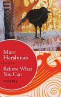Cover: Believe What You Can - West Virginia University Press
