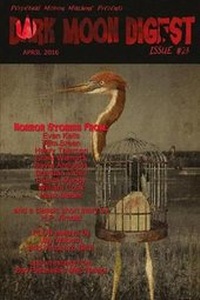 Enlarge image Cover: Dark Moon Digest #23 - Perpetual Motion Machine Publishing