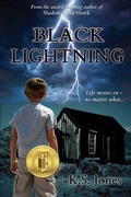 Cover: Black Lightning - Mirror World Publishing