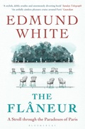 Cover: The Flaneur - Bloomsbury Paperbacks