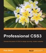 Cover: Professional CSS3 - Packt Publishing
