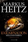 Cover: Exkarnation - Seelensterben - Knaur