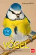 Cover: V&ouml;gel - BLV