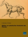 Cover: Bl&auml;tter zur plastischen Anatomie des Pferdes - Fachbuchverlag-Dresden