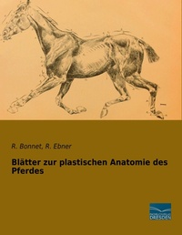 Abbildung von: Blätter zur plastischen Anatomie des Pferdes - Fachbuchverlag-Dresden