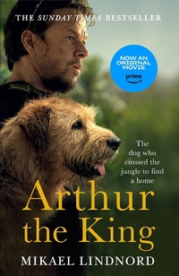 Abbildung von: Arthur the King - Two Roads