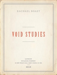 Enlarge image Cover: Void Studies - Picador