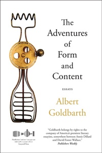 Enlarge image Cover: The Adventures of Form and Content - Graywolf Press