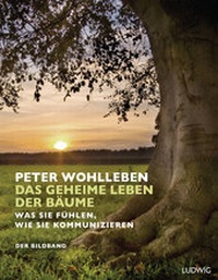 Abbildung von: Das geheime Leben der Bäume - Ludwig