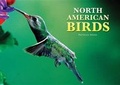Cover: North American Birds - Chartwell Books