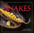 Cover: Snakes - Crestline