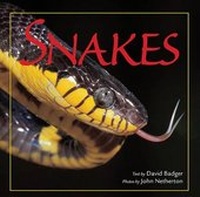 Enlarge image Cover: Snakes - Crestline