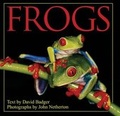 Cover: Frogs - Crestline