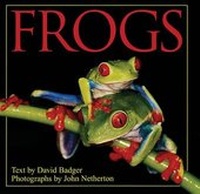Enlarge image Cover: Frogs - Crestline