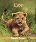 Cover: Lion: Abbeville Animals - Abbeville Kids,US