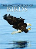 Cover: The Encyclopedia of Birds - Chartwell Books