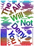 Cover: The Air Will Not Deny You - Diaphanes