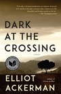 Cover: Dark at the Crossing - Vintage