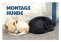 Cover: Montagshunde - Der gesunde Menschenversand