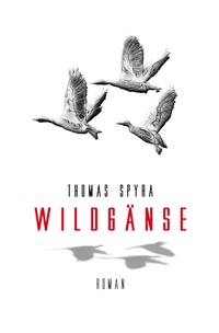 Abbildung von: Wildgänse - cristom-kunstverlag