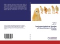 Cover: Toxicopathological Studies of Aceclofenac in Broiler Chicks - LAP Lambert Academic Publishing