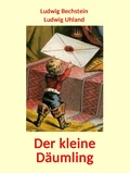 Cover: Der kleine D&auml;umling - Geschichten mit m&auml;rchenhaften Illustrationen