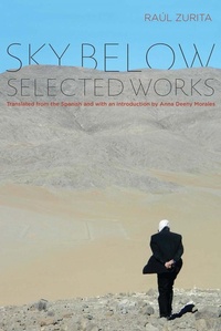 Abbildung von: Sky Below - Northwestern University Press