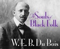 Cover: The Souls of Black Folk - Dreamscape Media