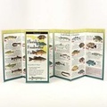 Cover: Florida Freshwater Fishes - Earth Sky + Water
