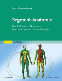 Abbildung von: Segment-Anatomie - Urban & Fischer