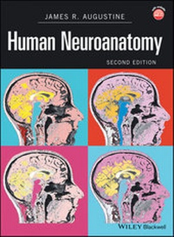 Abbildung von: Human Neuroanatomy - Wiley-Blackwell
