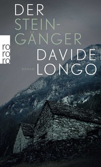 Abbildung von: Der Steingänger - Rowohlt Taschenbuch
