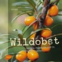 Cover: Wildobst - Verlag Eugen Ulmer