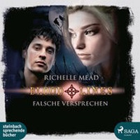 Enlarge image Cover: Falsche Versprechen - steinbach sprechende bücher