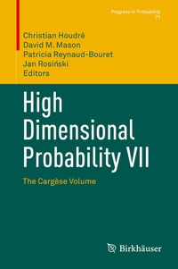 Enlarge image Cover: High Dimensional Probability VII - Birkhäuser