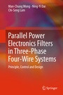 Cover: Parallel Power Electronics Filters in Three-Phase Four-Wire Systems - Springer