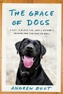 Cover: The Grace of Dogs - Convergent