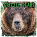 Cover: Grizzly Bears - Raintree